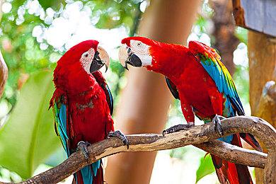 成就系统遭泄露 《火线迈阿密1+2》或将登陆PS5