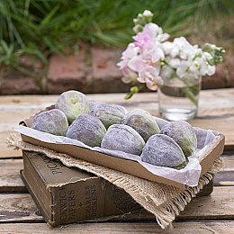 《饿狼传说：群狼之城》DLC角色东丈岚现已推出